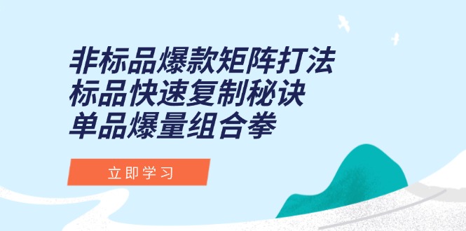 非标品爆款矩阵打法，标品快速复制秘诀，单品爆量组合拳-小鹏项目网