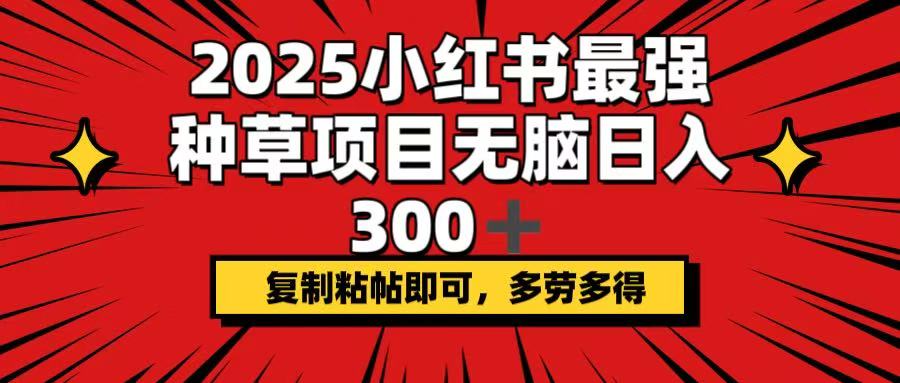 2025小红书最强种草项目，无脑日入300+，复制粘帖即可，多劳多得-小鹏项目网