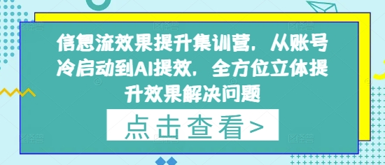 信息流效果提升集训营，从账号冷启动到AI提效，全方位立体提升效果解决问题-小鹏项目网
