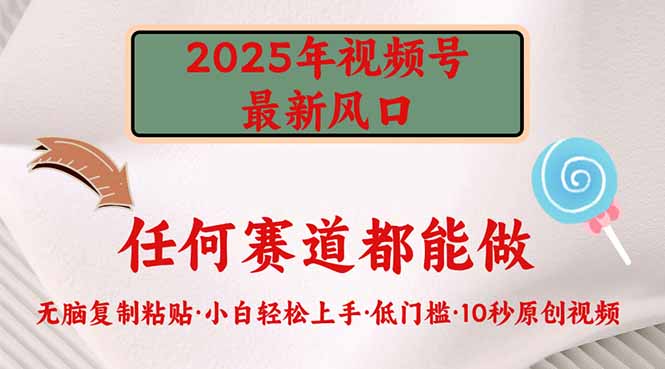 2025年视频号新风口，低门槛只需要无脑执行-小鹏项目网