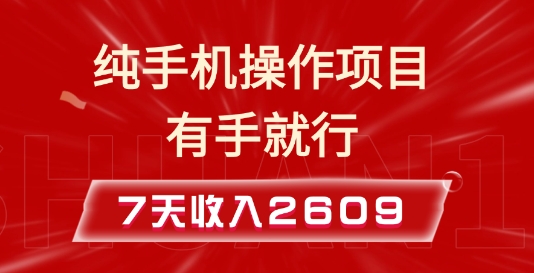 纯手机操作的小项目，有手就能做，7天收入2609+实操教程【揭秘】-小鹏项目网