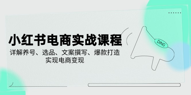 小红书电商实战课程，详解养号、选品、文案撰写、爆款打造，实现电商变现-小鹏项目网