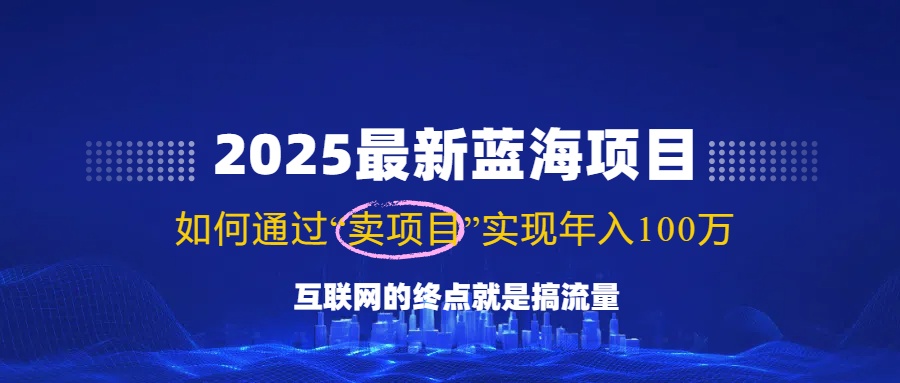 2025最新蓝海项目，零门槛轻松复制，月入10万+，新手也能操作！-小鹏项目网