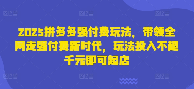 2025拼多多强付费玩法，带领全网走强付费新时代，玩法投入不超千元即可起店-小鹏项目网