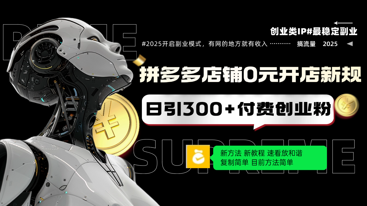 拼多多店铺0元开店新规，日引300+付费创业粉，目前方法简单复制粘贴可矩阵-小鹏项目网