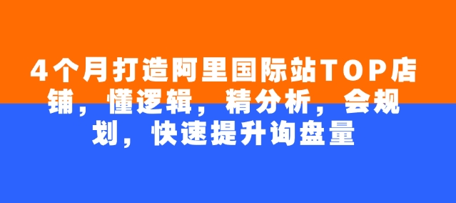 4个月打造阿里国际站TOP店铺，懂逻辑，精分析，会规划，快速提升询盘量-小鹏项目网