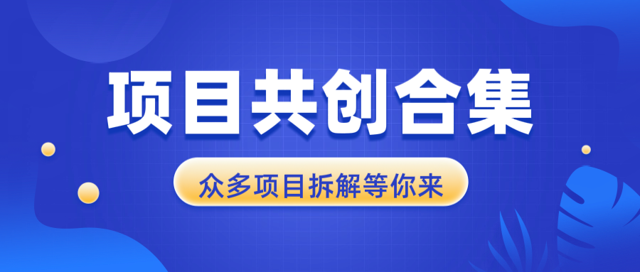 项目共创合集，从0-1全过程拆解，让你迅速找到适合自已的项目-小鹏项目网