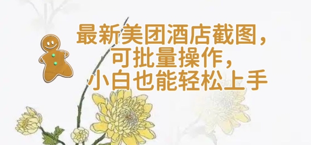 【轻云】最新美团酒店截图，可批量操作，小白也能轻松上手-小鹏项目网