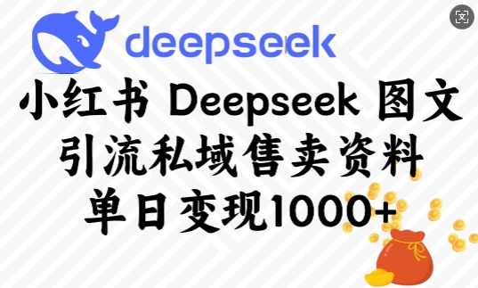 小红书Deepseek图文引流私域售卖资料，单日变现多张-小鹏项目网