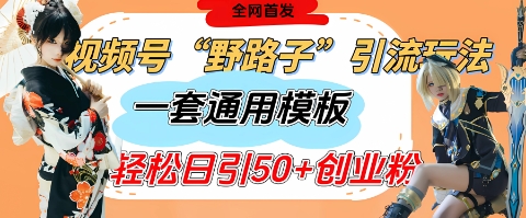 视频号“野路子”玩法，评论区疯狂截流，一套模板单日单号引流50+创业粉-小鹏项目网