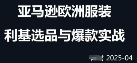 跨境电商选品案例24-25年，聚焦跨境电商选品策略与运营优化，助力卖家挖掘蓝海市场-小鹏项目网