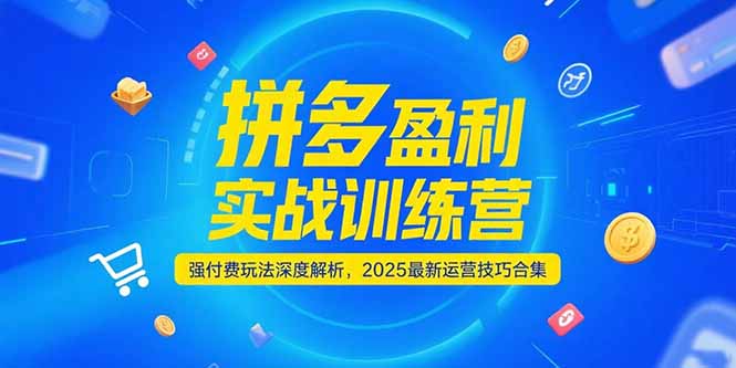 拼多多盈利实战训练营，强付费玩法深度解析，2025运营技巧合集-更新6月-小鹏项目网