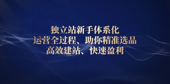 独立站新手体系化 运营全过程，助你精准选品、高效建站、快速盈利-小鹏项目网