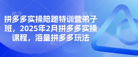 拼多多实操陪跑特训营弟子班，2025年2月拼多多实操课程，海量拼多多玩法-小鹏项目网