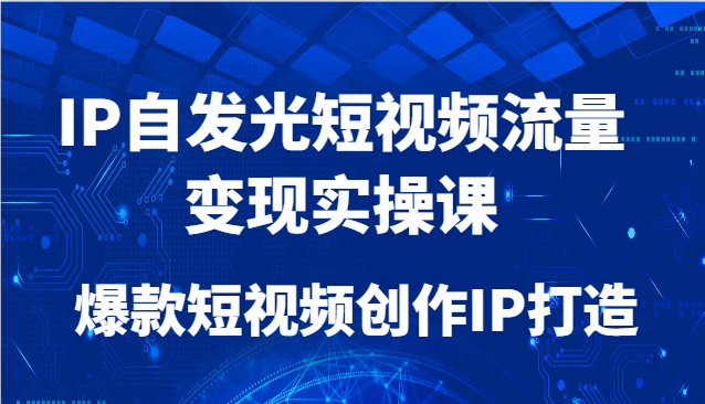 IP自发光短视频流量变现实操课，爆款短视频创作IP打造-小鹏项目网
