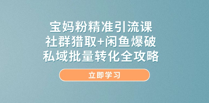 宝妈粉精准引流课，社群猎取+闲鱼爆破，私域批量转化全攻略-小鹏项目网