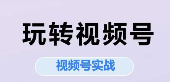 玩转视频号，视频号实战系列课-小鹏项目网