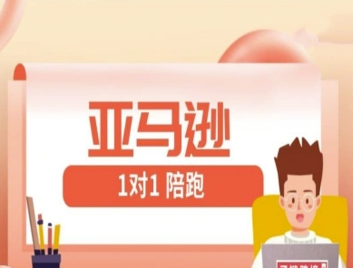 亚马逊1对1陪跑课(FBA/FBM精铺)跨境亚马逊教程-小鹏项目网
