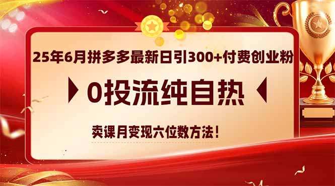 25年6月拼多多最新日引300+付费创业粉，0投流纯自热 卖课月变现六位数方法-小鹏项目网