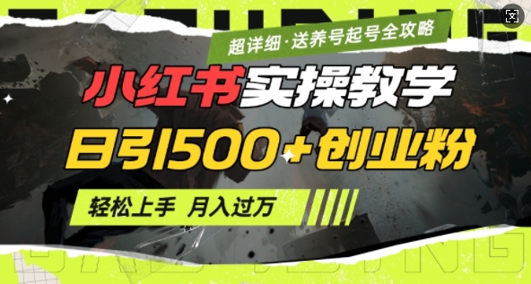 2月小红书最新日引500+创业粉实操教学【超详细】小白轻松上手，月入1W+，附小红书养号起号SOP-小鹏项目网