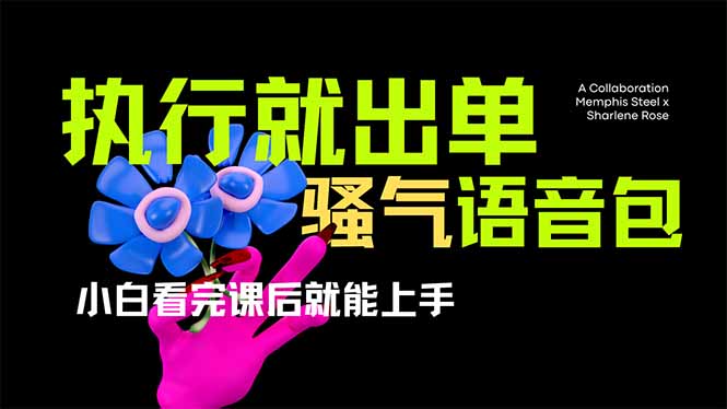 爆火全网的开车导航骚气语音包,只要执行就出单，小白看完课程就能实操…-小鹏项目网