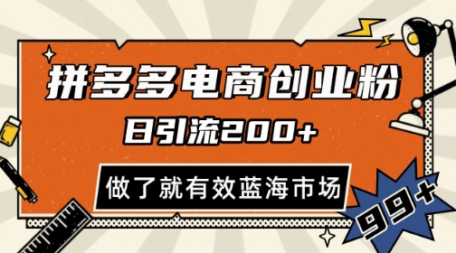 拼多多引流电商创业粉，日引200+，可矩阵放大，做了就有效【揭秘】-小鹏项目网