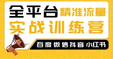 全平台精准流量实战训练营，百度微信抖音小红书SEO引流教程-小鹏项目网