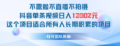 不露脸不直播不拍摄抖音单条视频日入1k+这个项目适合所有人长期积累的项目-小鹏项目网