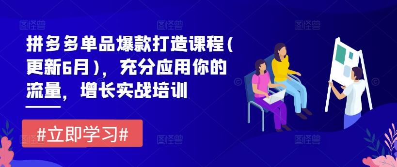 拼多多单品爆款打造课程(更新6月)，充分应用你的流量，增长实战培训-小鹏项目网