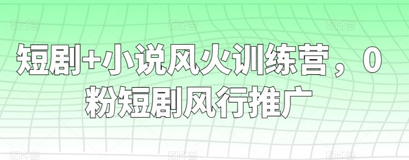 短剧+小说风火训练营，0粉短剧风行推广-小鹏项目网