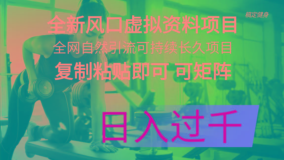全新风口虚拟资料项目 全网自然引流可持续长久项目 复制粘贴即可可矩阵…-小鹏项目网