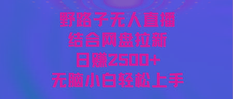 无人直播野路子结合网盘拉新，日赚2500+多平台变现，小白无脑轻松上手操作-小鹏项目网