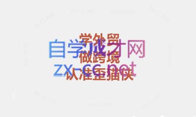 琼姐·团队复制+询盘转化+展会实操-小鹏项目网