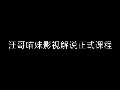 汪哥影视解说正式课程：剪映/PR教学/视解说剪辑5大黄金法则/全流程剪辑7把利器等等-小鹏项目网
