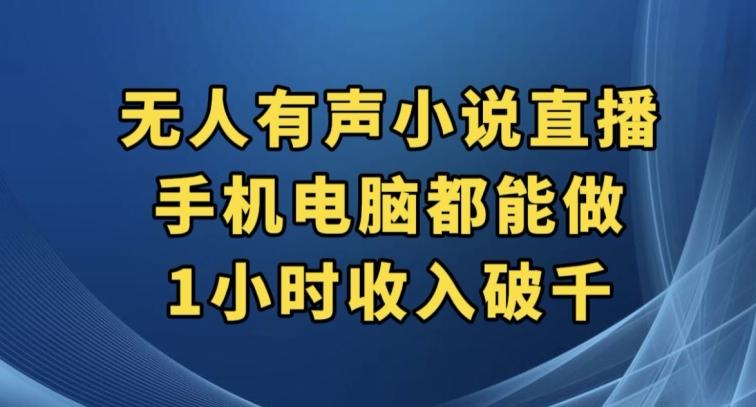抖音无人有声小说直播，手机电脑都能做，1小时收入破千【揭秘】-小鹏项目网