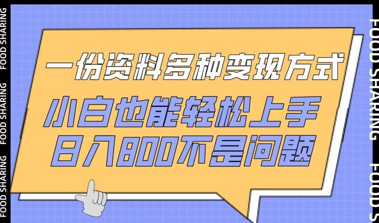 一份资料多种变现方式，小白也能轻松上手，日入800不是问题【揭秘】-小鹏项目网
