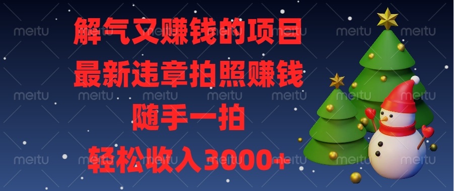 解气又赚钱的项目，最新违章拍照赚钱，随手一拍，轻松收入3000+-小鹏项目网