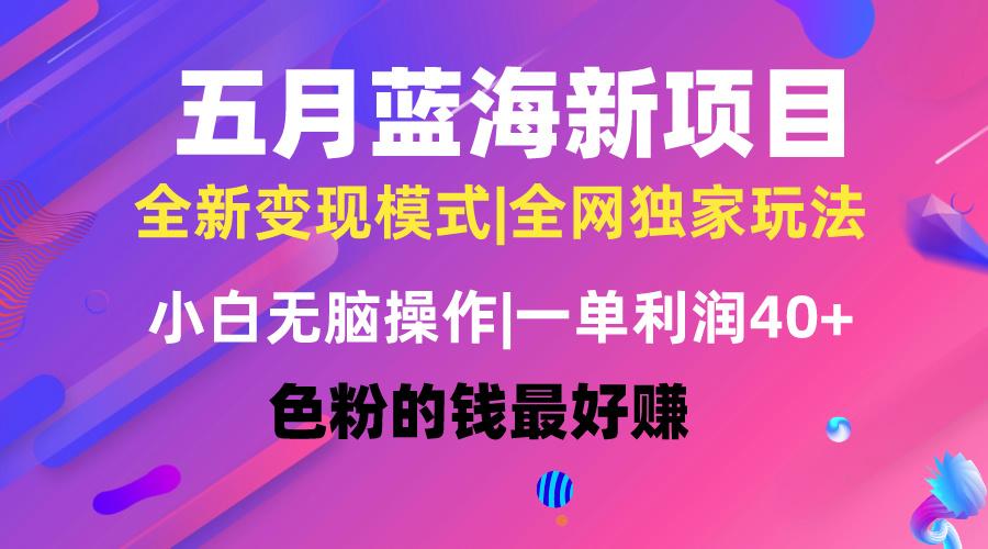 五月蓝海项目全新玩法，小白无脑操作，一天几分钟，矩阵操作，月入4万+-小鹏项目网