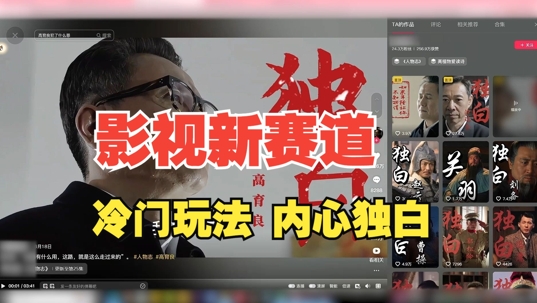 最新影视解说玩法，人物独白，30天涨粉24万+，全流程拆解【揭秘】-小鹏项目网