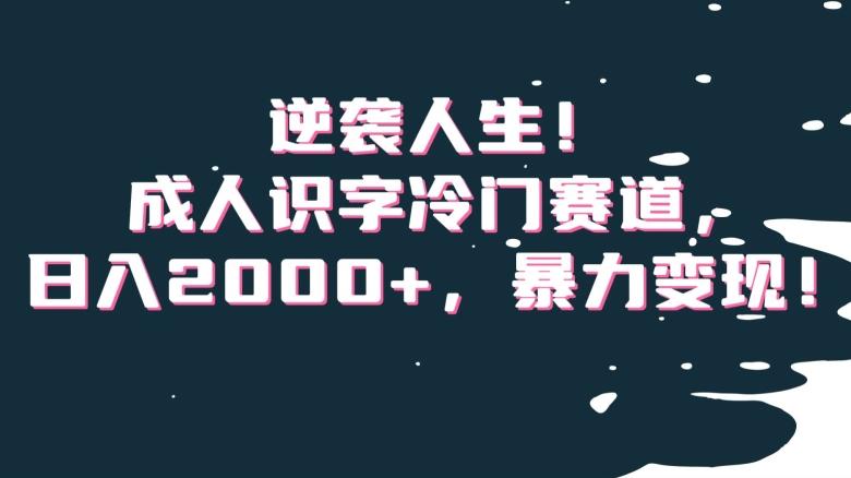 逆袭人生！成人识字冷门赛道，日入2000+，暴力变现！【揭秘】-小鹏项目网