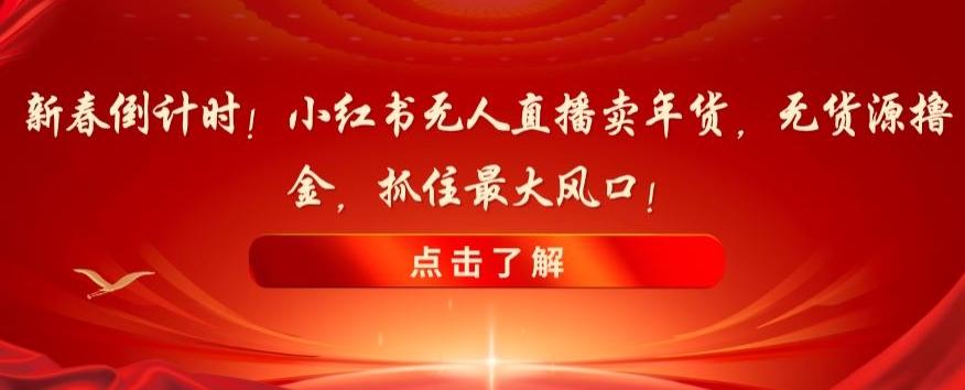新春倒计时！小红书无人直播卖年货，无货源撸金，抓住最大风口【揭秘】-小鹏项目网