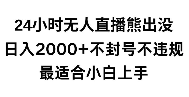 快手24小时无人直播熊出没，不封直播间，不违规，日入2000+，最适合小白上手，保姆式教学【揭秘】-小鹏项目网