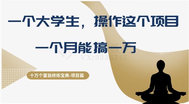 十万个富翁修炼宝典之4.一个大学生操作这个项目，一个月能搞一万-小鹏项目网