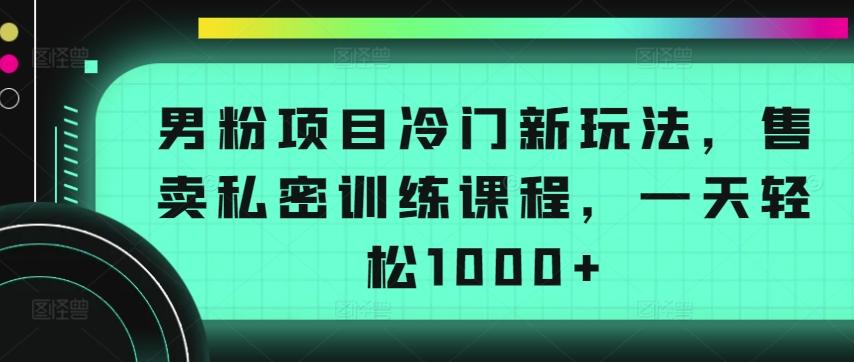 男粉项目冷门新玩法，售卖私密训练课程，一天轻松1000+【揭秘】-小鹏项目网