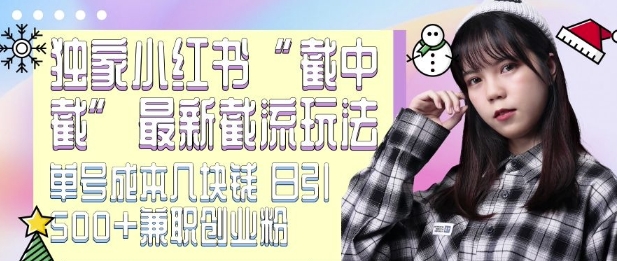 最新小红书截流玩法 独家截中截 单号成本几块钱 日引500+CY粉JZ粉-小鹏项目网
