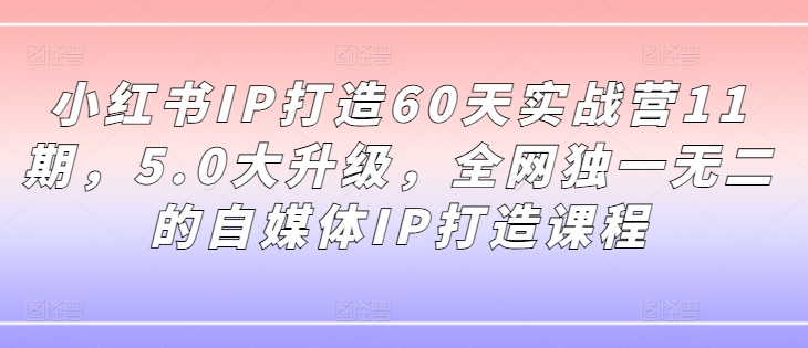 小红书IP打造60天实战营11期，5.0大升级，全网独一无二的自媒体IP打造课程-小鹏项目网