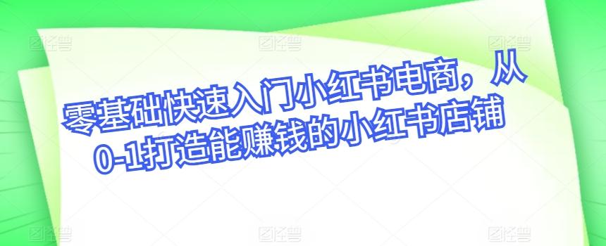 零基础快速入门小红书电商，从0-1打造能赚钱的小红书店铺-小鹏项目网