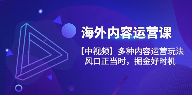 海外内容 运营课【中视频】多种内容运营玩法 风口正当时 掘金好时机-101节-小鹏项目网