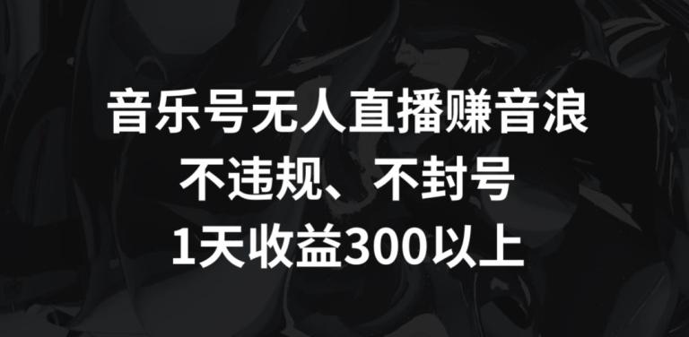 音乐号无人直播赚音浪，不违规、不封号，1天收益300+【揭秘】-小鹏项目网