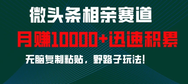微头条相亲赛道，迅速积累，无脑复制粘贴，野路子玩法，月入1w-小鹏项目网